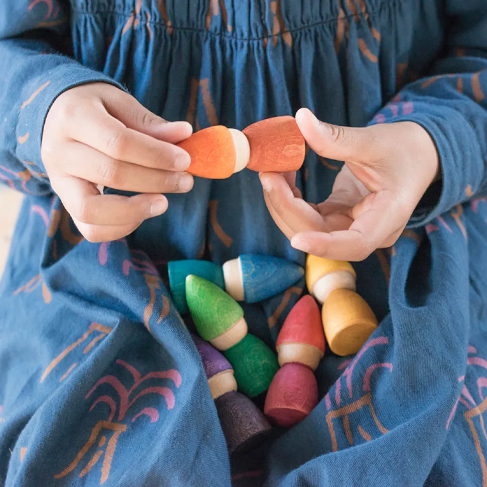 Grapat Regenboog Tomtens
