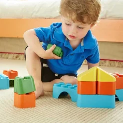 Green Toys Grote Blokken