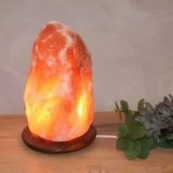 Himalaya Salt Dreams Zoutlamp | Maat L
