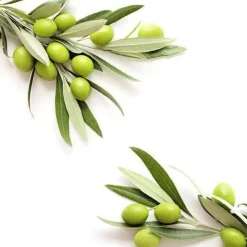 Natural Heroes Squalaan – Plantaardig