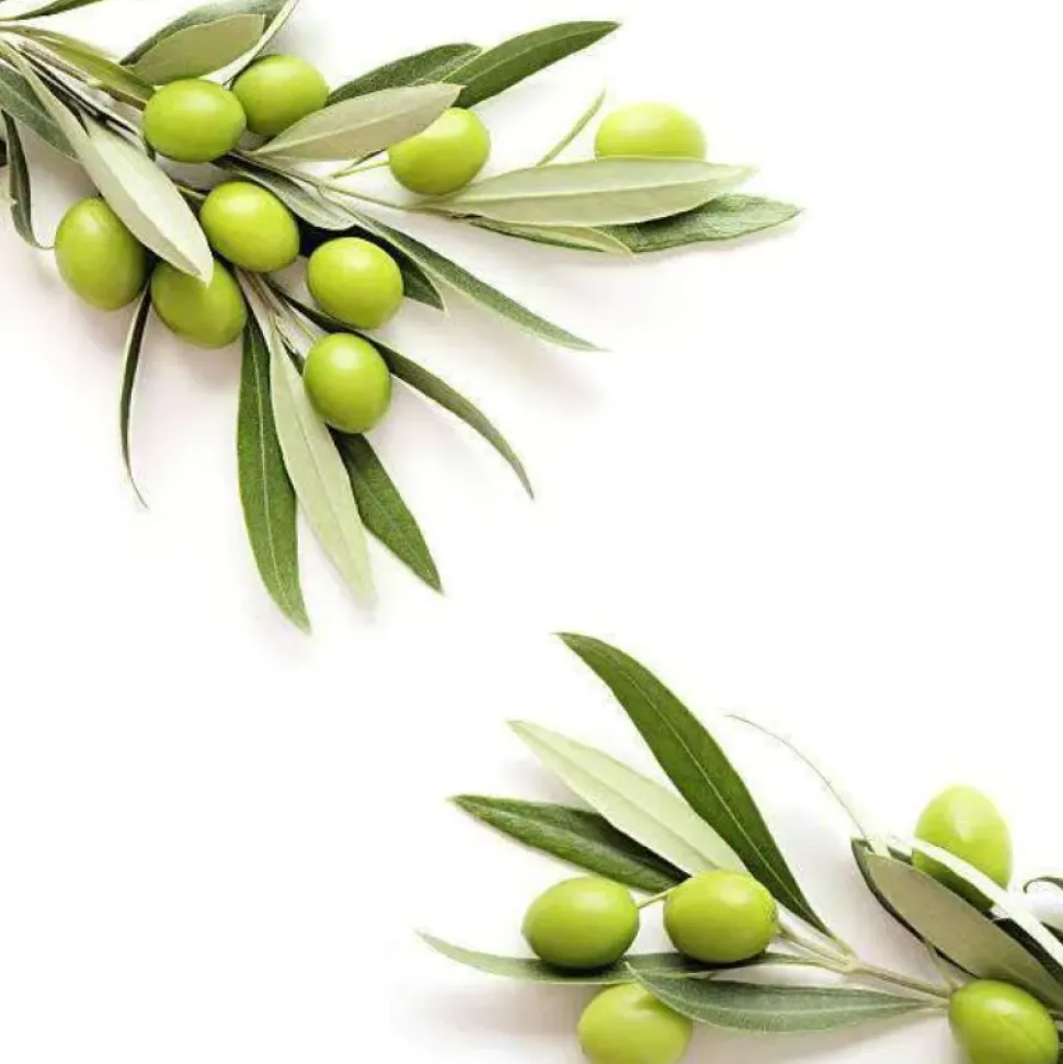 Natural Heroes Squalaan – Plantaardig