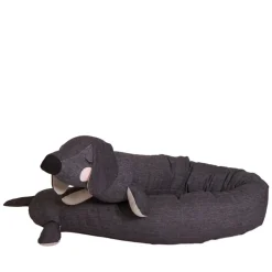 Roommate Lazy Long Dog