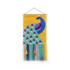 Sozo Diy Borduurset Pauw